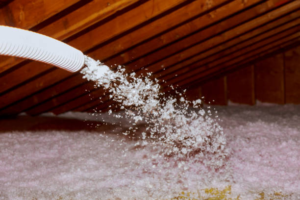 Best Blown-in Insulation  in Wellington, FL