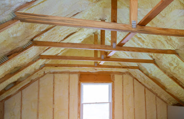 Best Attic Insulation Installation  in Wellington, FL