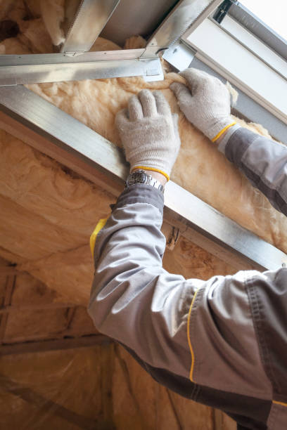 Best Affordable Insulation Services  in Wellington, FL