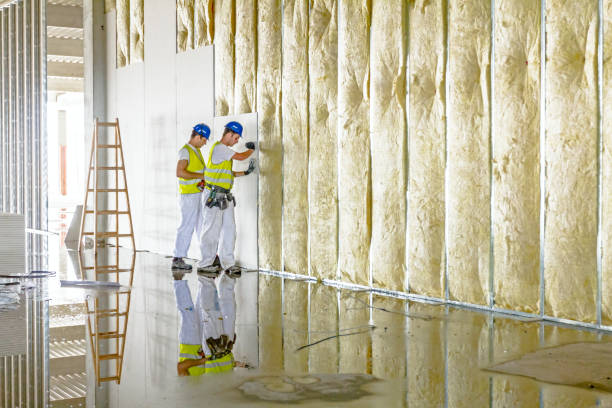 Best Cellulose Insulation  in Wellington, FL